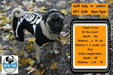 10689833_764824166912828_4461773836970512424_n